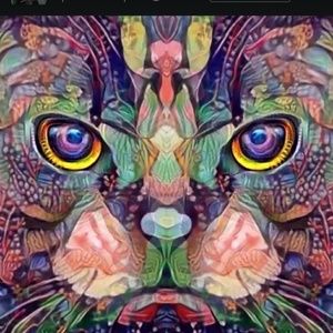 Meet your Posher, Tracey